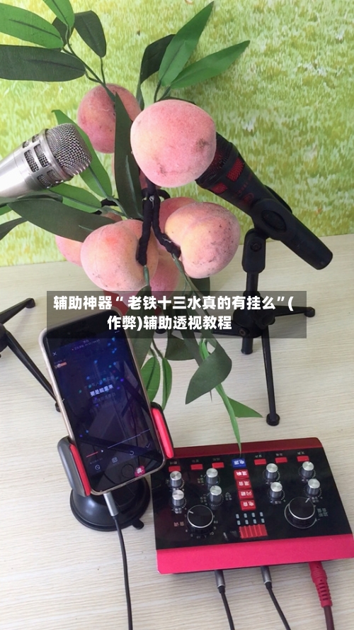 辅助神器“ 老铁十三水真的有挂么”(作弊)辅助透视教程-第2张图片