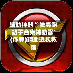 辅助神器“ 微壳跑胡子合集辅助器”(作弊)辅助透视教程-第2张图片