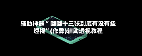 辅助神器“ 嘟嘟十三张到底有没有挂透视”(作弊)辅助透视教程-第3张图片