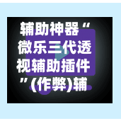 辅助神器“ 微乐三代透视辅助插件	”(作弊)辅助透视教程-第3张图片