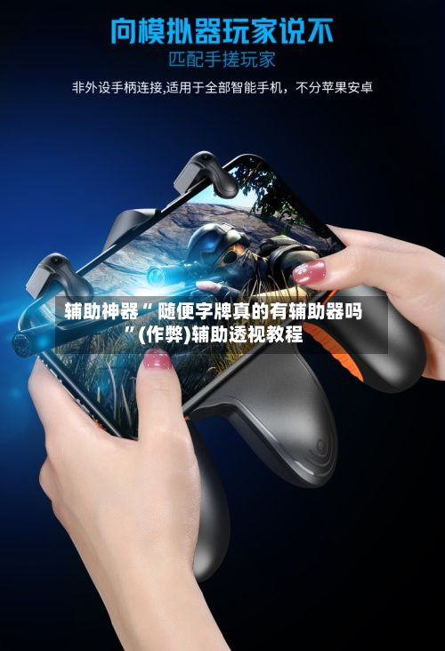 辅助神器“ 随便字牌真的有辅助器吗”(作弊)辅助透视教程-第2张图片