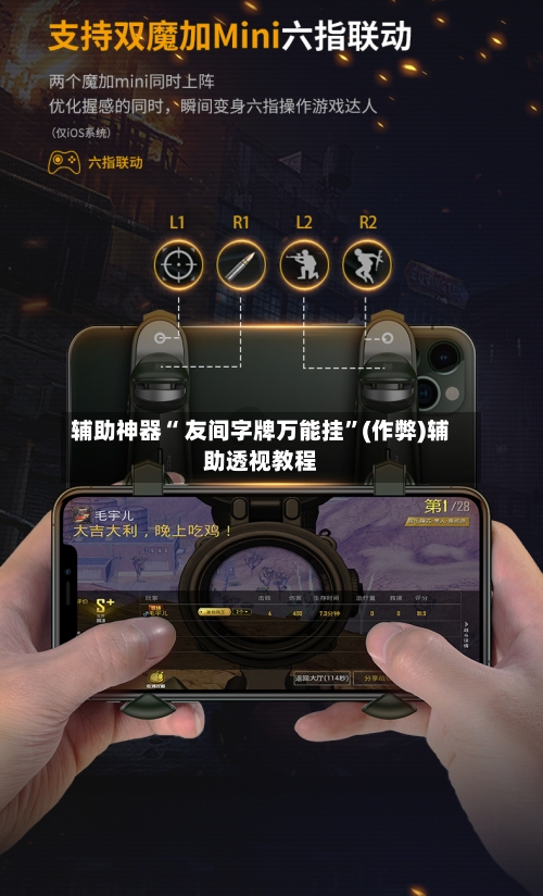 辅助神器“ 友间字牌万能挂”(作弊)辅助透视教程
