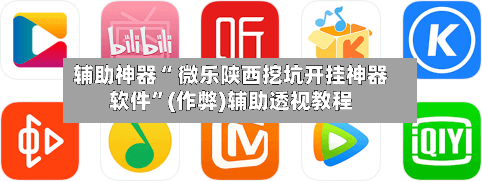 辅助神器“ 微乐陕西挖坑开挂神器软件”(作弊)辅助透视教程-第2张图片