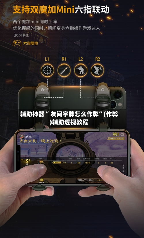 辅助神器“ 友间字牌怎么作弊	”(作弊)辅助透视教程-第3张图片