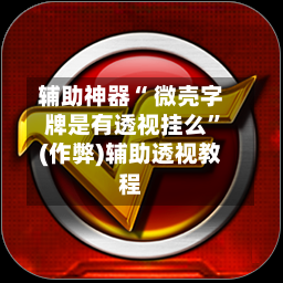 辅助神器“ 微壳字牌是有透视挂么”(作弊)辅助透视教程-第2张图片