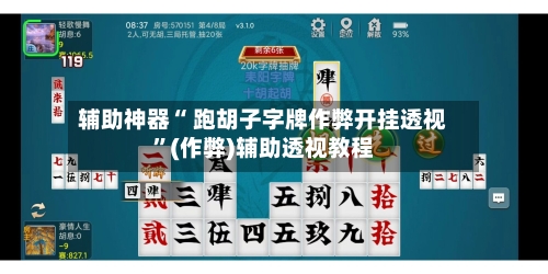 辅助神器“ 跑胡子字牌作弊开挂透视”(作弊)辅助透视教程