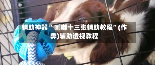 辅助神器“ 嘟嘟十三张辅助教程”(作弊)辅助透视教程-第3张图片
