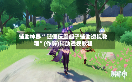 辅助神器“ 随便玩歪胡子辅助透视教程”(作弊)辅助透视教程-第3张图片