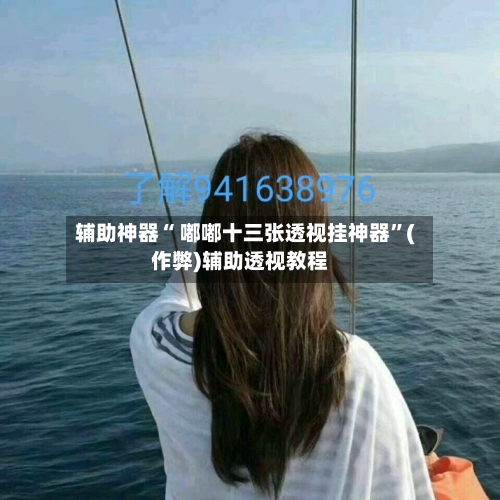 辅助神器“ 嘟嘟十三张透视挂神器”(作弊)辅助透视教程-第2张图片