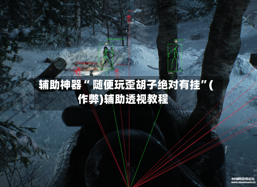 辅助神器“ 随便玩歪胡子绝对有挂”(作弊)辅助透视教程-第2张图片