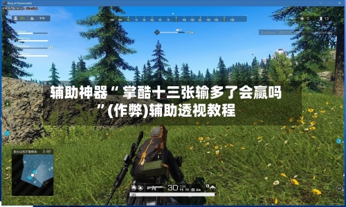 辅助神器“ 掌酷十三张输多了会赢吗”(作弊)辅助透视教程-第3张图片