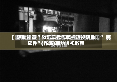 辅助神器“ 微乐三代作弊挂透视辅助软件”(作弊)辅助透视教程-第3张图片