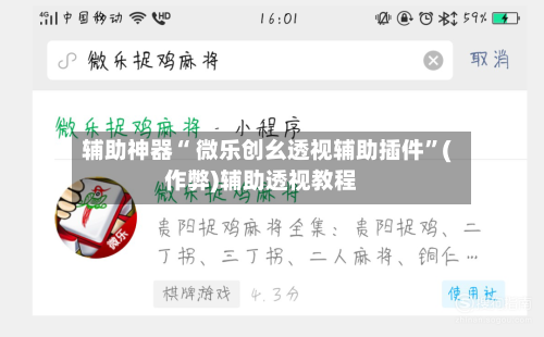辅助神器“ 微乐创幺透视辅助插件”(作弊)辅助透视教程-第2张图片