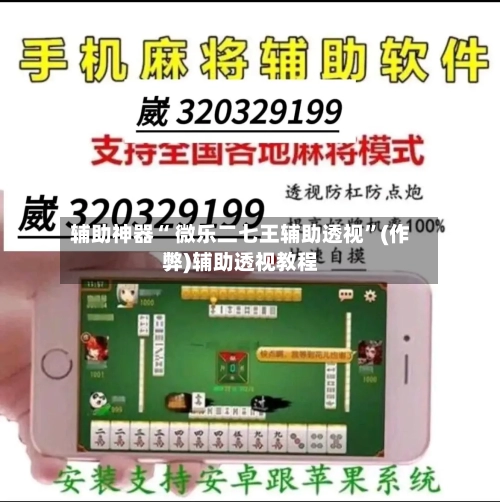 辅助神器“ 微乐二七王辅助透视”(作弊)辅助透视教程-第2张图片