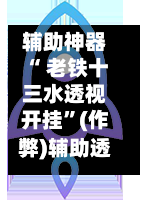 辅助神器“ 老铁十三水透视开挂”(作弊)辅助透视教程-第2张图片