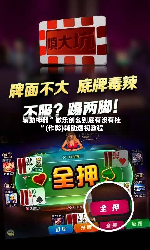 辅助神器“ 微乐创幺到底有没有挂	”(作弊)辅助透视教程-第2张图片