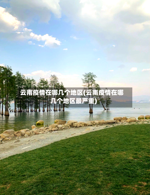 云南疫情在哪几个地区(云南疫情在哪几个地区最严重)-第2张图片