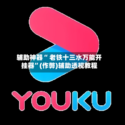 辅助神器“ 老铁十三水万能开挂器”(作弊)辅助透视教程-第3张图片