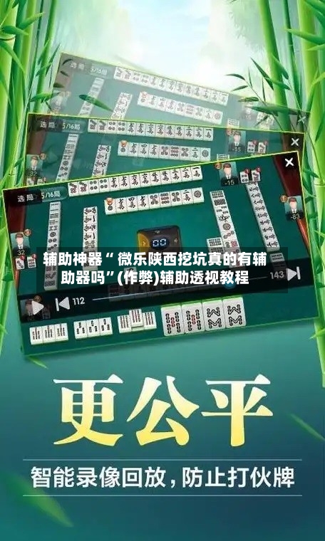 辅助神器“ 微乐陕西挖坑真的有辅助器吗	”(作弊)辅助透视教程-第3张图片