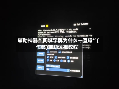 辅助神器“ 同城字牌为什么一直输”(作弊)辅助透视教程-第3张图片