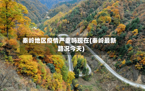 秦岭地区疫情严重吗现在(秦岭最新路况今天)