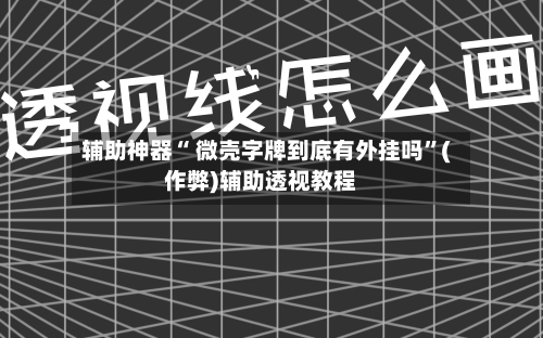 辅助神器“ 微壳字牌到底有外挂吗”(作弊)辅助透视教程-第3张图片