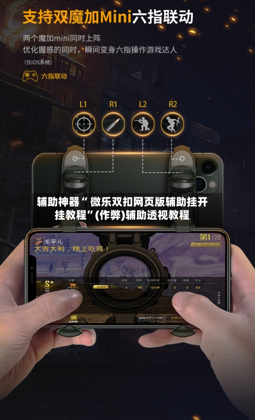 辅助神器“ 微乐双扣网页版辅助挂开挂教程”(作弊)辅助透视教程-第3张图片