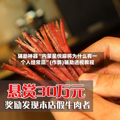 辅助神器“内蒙星悦麻将为什么有一个人经常赢	”(作弊)辅助透视教程-第2张图片