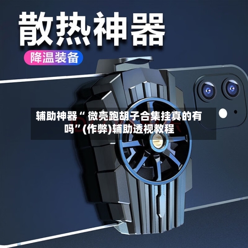 辅助神器“ 微壳跑胡子合集挂真的有吗”(作弊)辅助透视教程-第2张图片