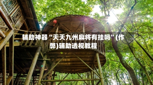 辅助神器“天天九州麻将有挂吗”(作弊)辅助透视教程