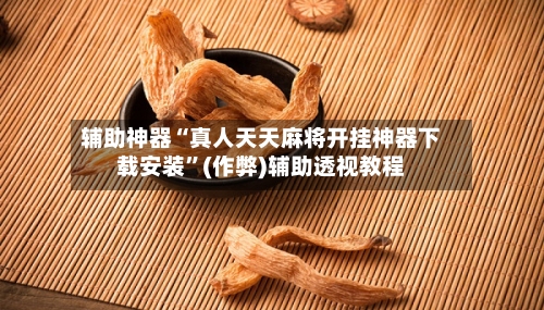 辅助神器“真人天天麻将开挂神器下载安装”(作弊)辅助透视教程