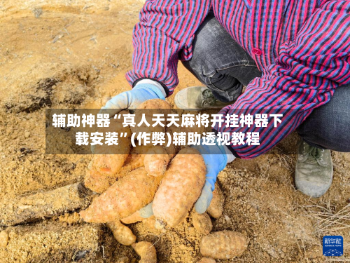 辅助神器“真人天天麻将开挂神器下载安装”(作弊)辅助透视教程-第2张图片