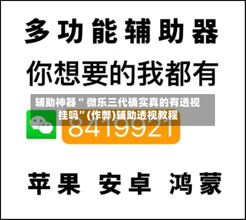 辅助神器“ 微乐三代确实真的有透视挂吗”(作弊)辅助透视教程-第2张图片