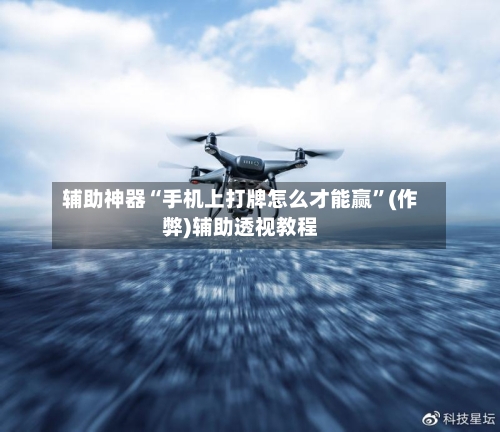 辅助神器“手机上打牌怎么才能赢”(作弊)辅助透视教程-第2张图片