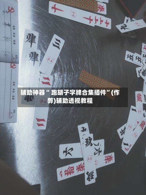 辅助神器“ 跑胡子字牌合集插件”(作弊)辅助透视教程-第2张图片