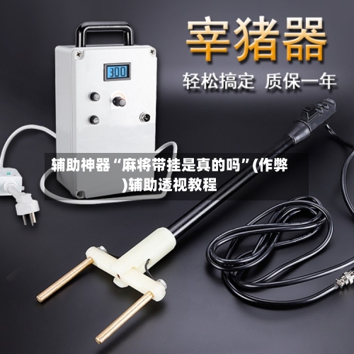 辅助神器“麻将带挂是真的吗”(作弊)辅助透视教程