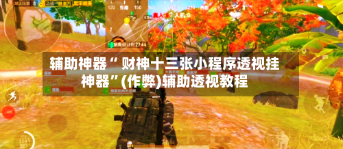 辅助神器“ 财神十三张小程序透视挂神器”(作弊)辅助透视教程-第2张图片