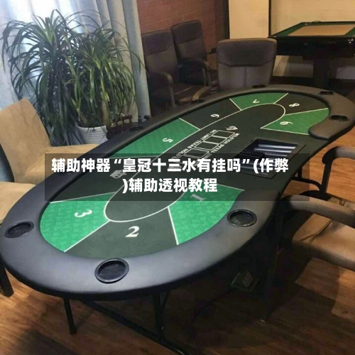 辅助神器“皇冠十三水有挂吗”(作弊)辅助透视教程-第2张图片