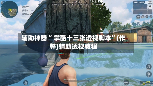 辅助神器“ 掌酷十三张透视脚本”(作弊)辅助透视教程-第2张图片