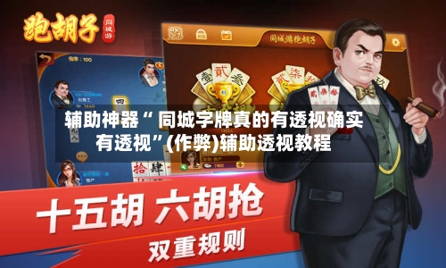 辅助神器“ 同城字牌真的有透视确实有透视”(作弊)辅助透视教程
