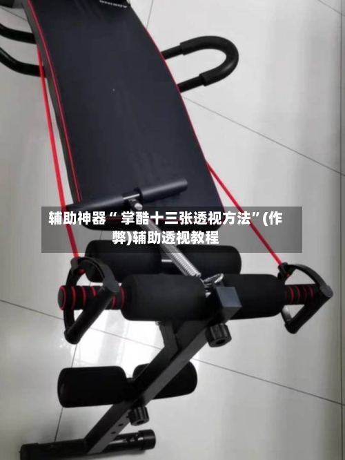 辅助神器“ 掌酷十三张透视方法”(作弊)辅助透视教程