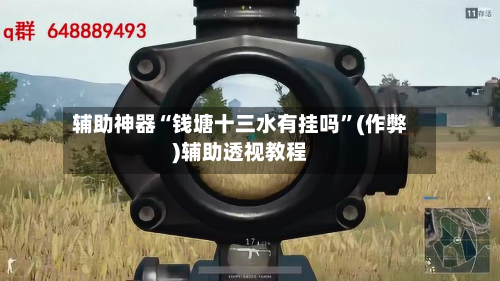 辅助神器“钱塘十三水有挂吗”(作弊)辅助透视教程-第3张图片