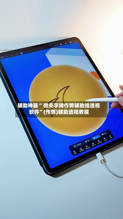 辅助神器“ 微壳字牌作弊辅助挂透视软件”(作弊)辅助透视教程-第3张图片