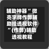 辅助神器“ 微壳字牌作弊辅助挂透视软件”(作弊)辅助透视教程-第2张图片