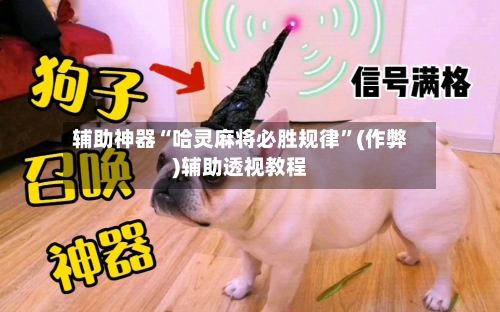 辅助神器“哈灵麻将必胜规律”(作弊)辅助透视教程