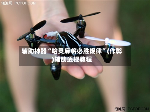 辅助神器“哈灵麻将必胜规律”(作弊)辅助透视教程-第3张图片