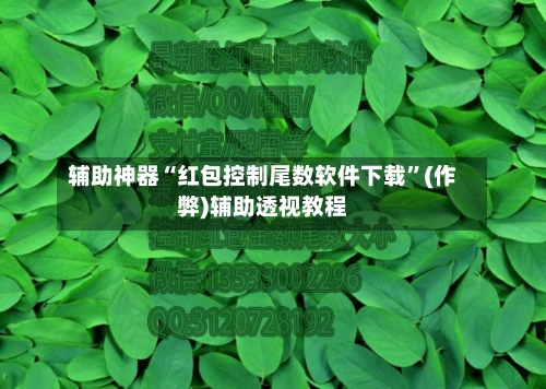 辅助神器“红包控制尾数软件下载”(作弊)辅助透视教程-第3张图片