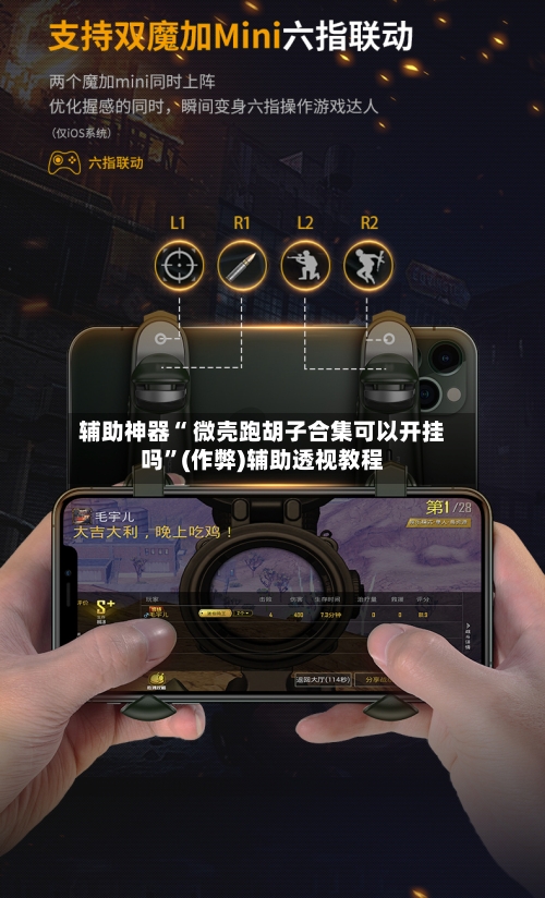 辅助神器“ 微壳跑胡子合集可以开挂吗	”(作弊)辅助透视教程-第2张图片