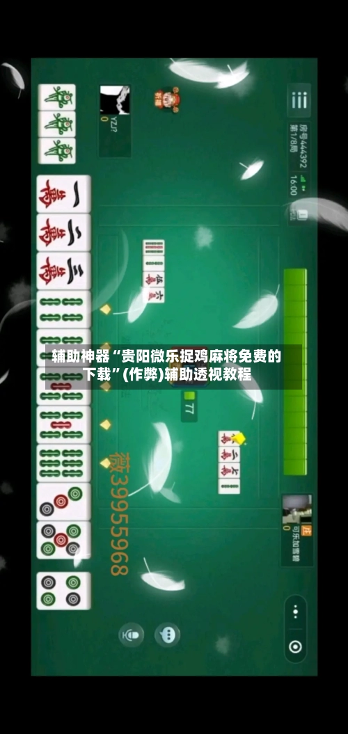 辅助神器“贵阳微乐捉鸡麻将免费的下载”(作弊)辅助透视教程-第3张图片