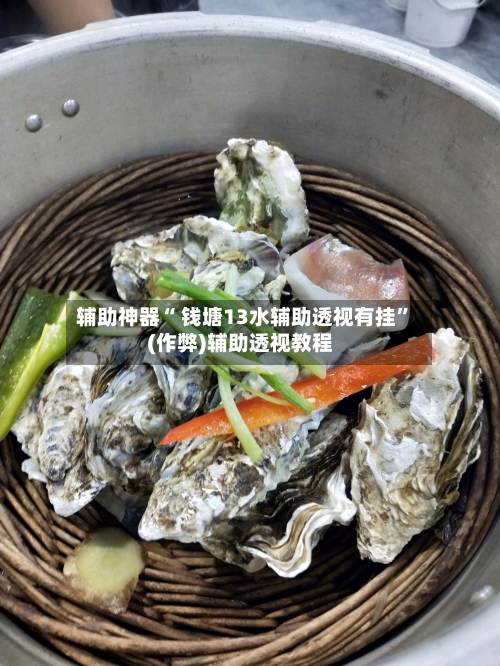 辅助神器“ 钱塘13水辅助透视有挂”(作弊)辅助透视教程
